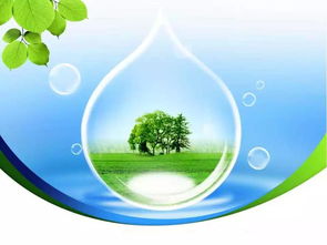 每日聚焦 保護環(huán)境是每個人的義務(wù)