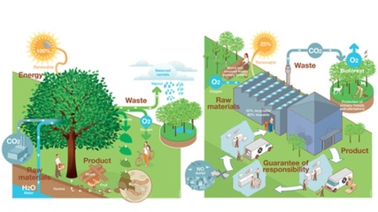 廚房革命:污染、浪費大作戰