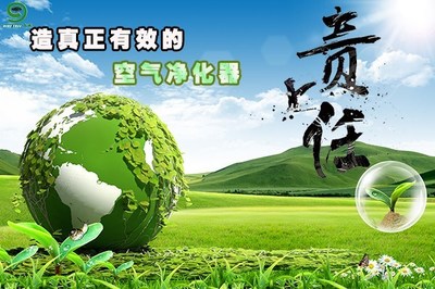 同呼吸，共命運 論企業應承擔環境保護的社會責任